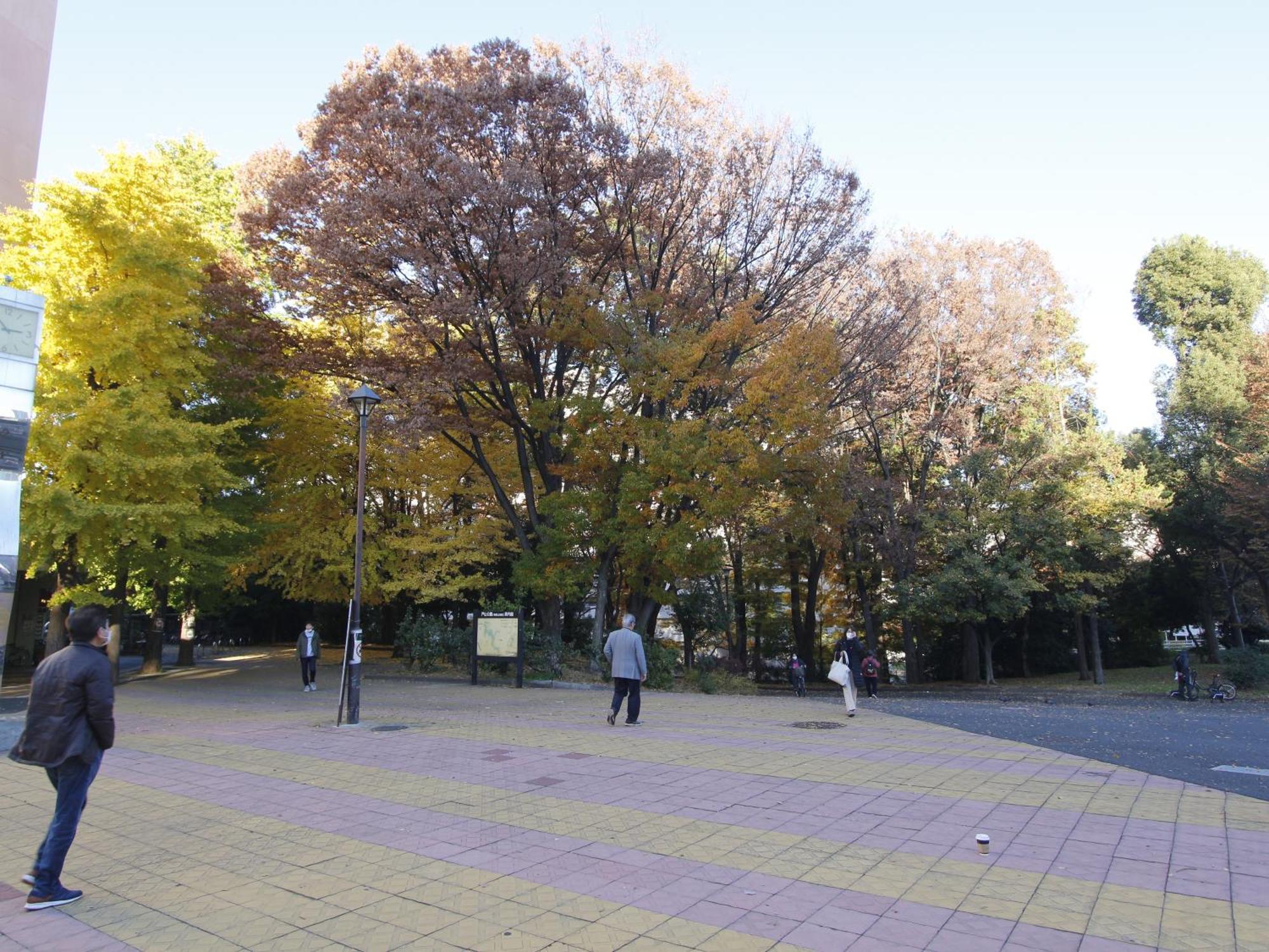 公寓 和貴ビル